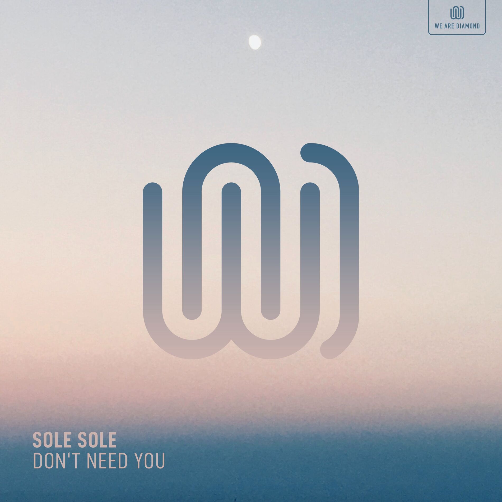 Album cover of Don't Need You