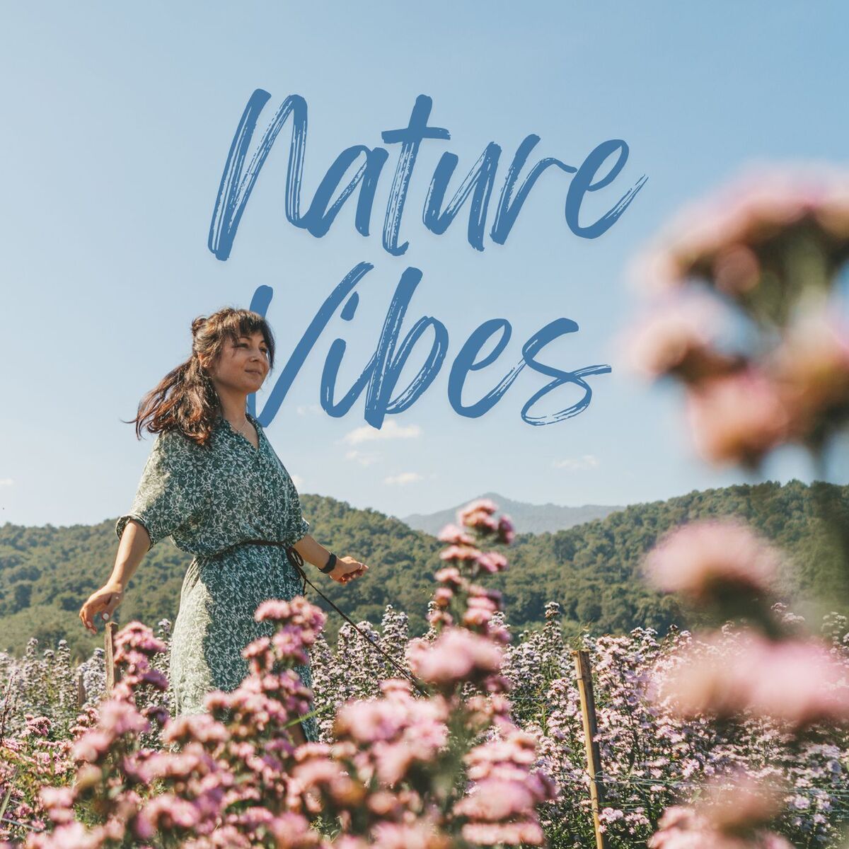 Album cover of Nature Vibes