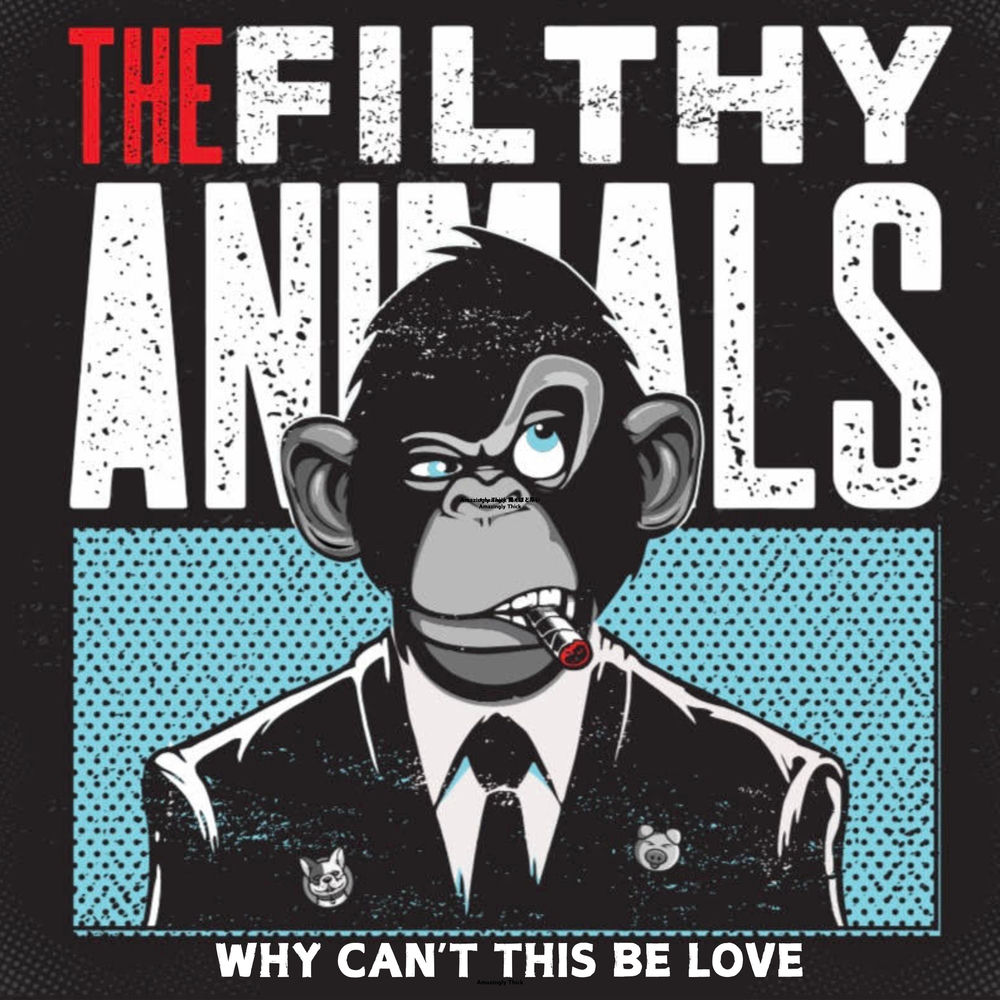 Album artwork for Why Can't This Be Love by The Filthy Animals