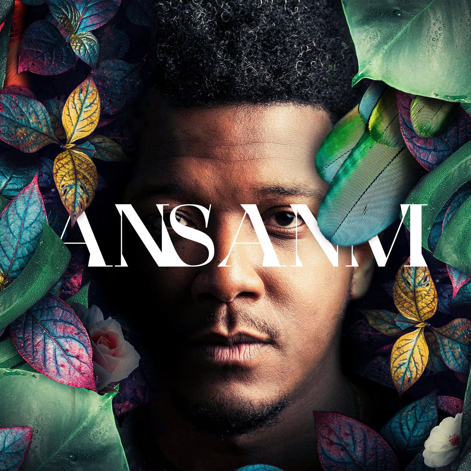 Album cover of Mizik