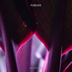 Cover of Forever