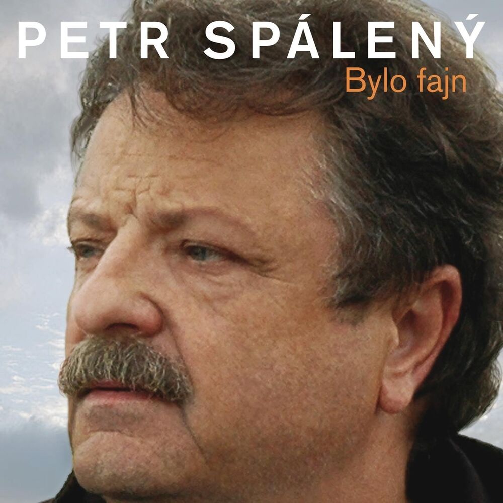Picture of Bylo Fajn (20 Originálních Hitů 1969-2008)