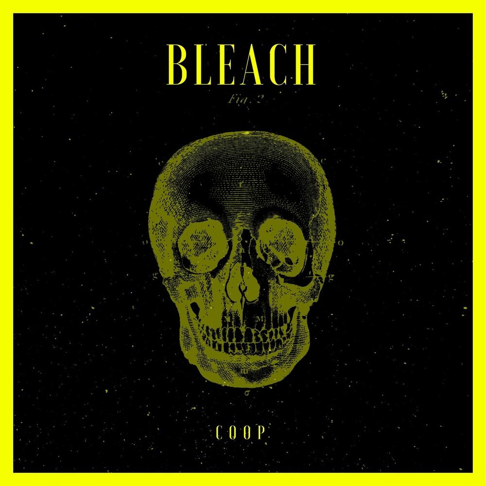Picture of Bleach