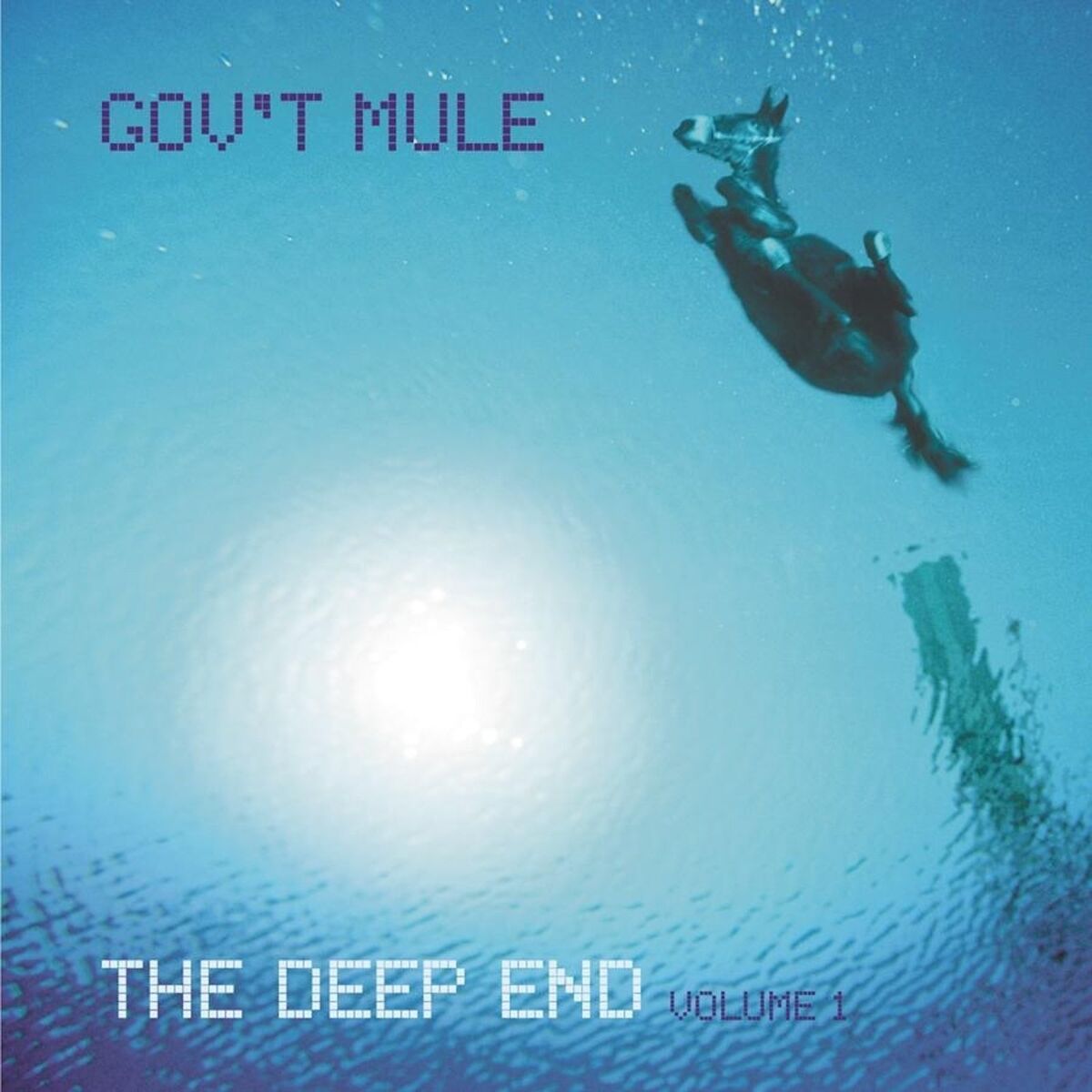 Album cover of Soulshine