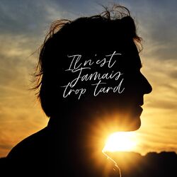 Cover of Il n'est jamais trop tard