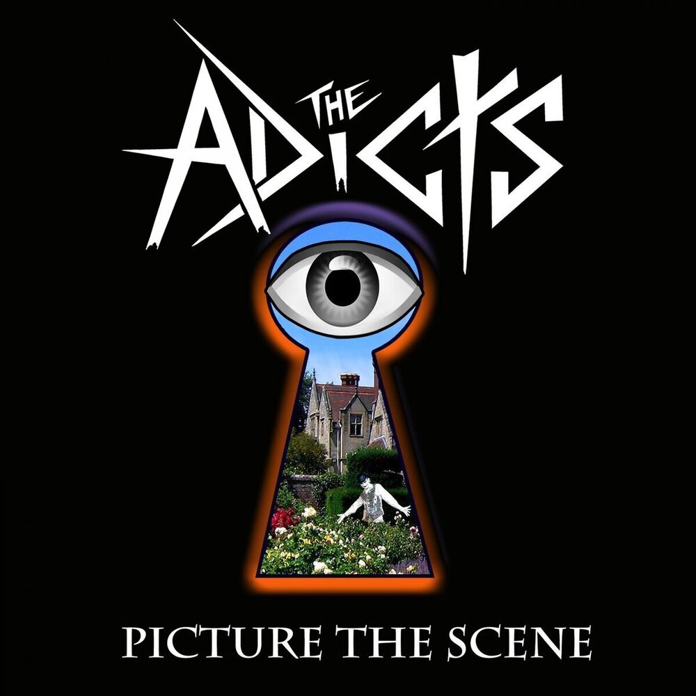 Picture of Picture the Scene