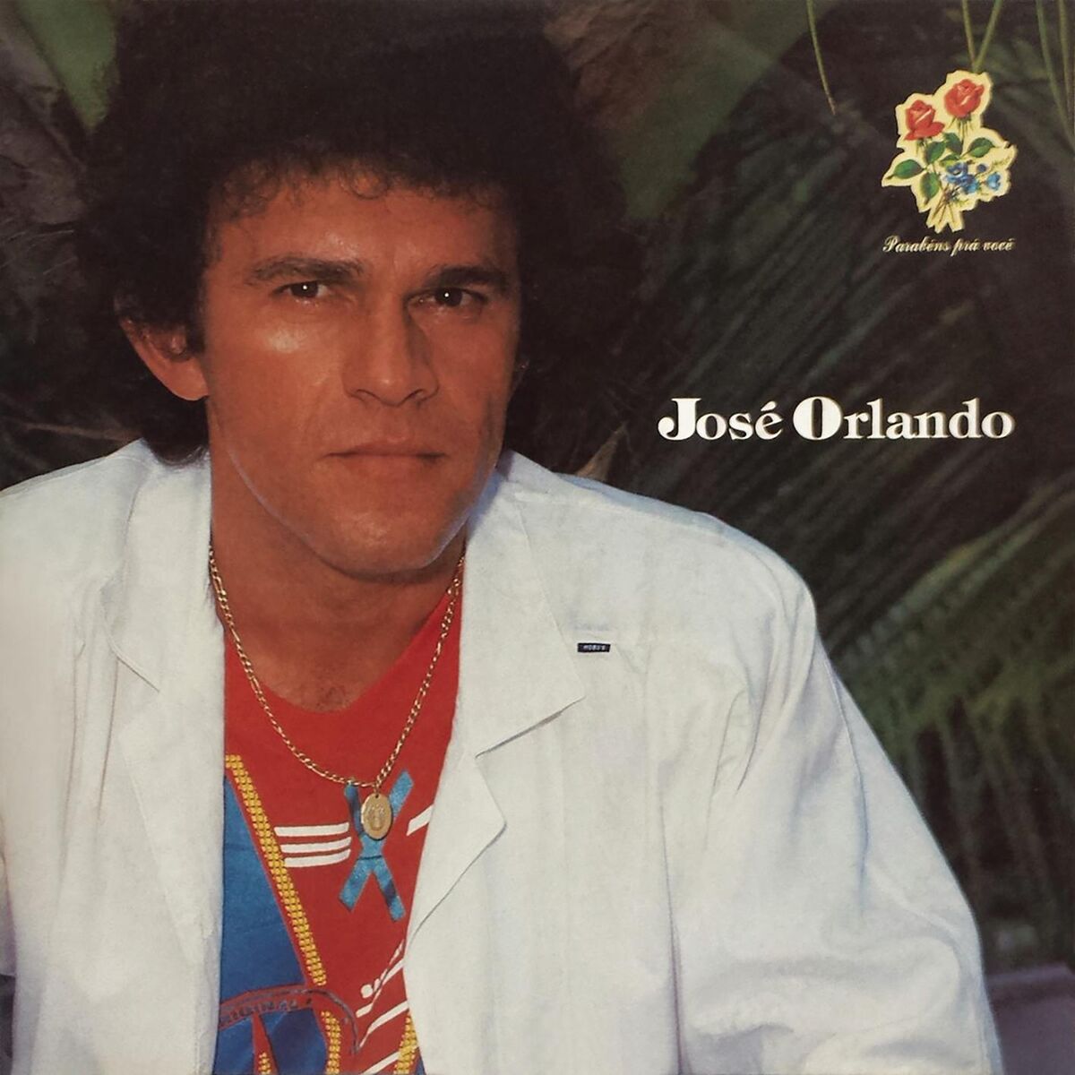 Album cover of Parabéns pra Você