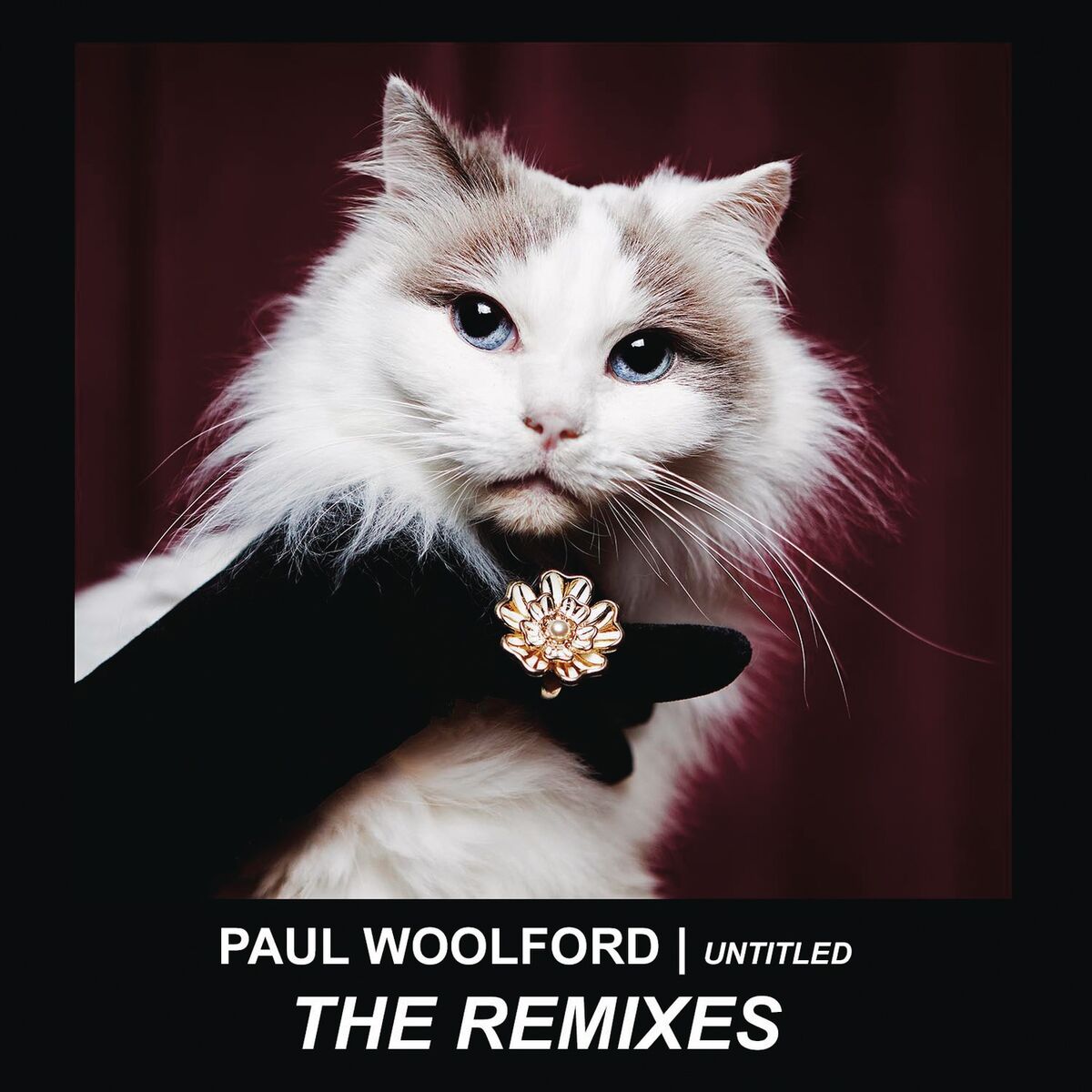 Album cover of Untitled (Call Out Your Name) (Remixes)