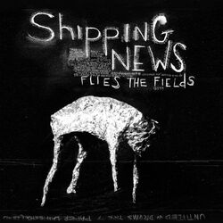 Cover of Flies the Fields