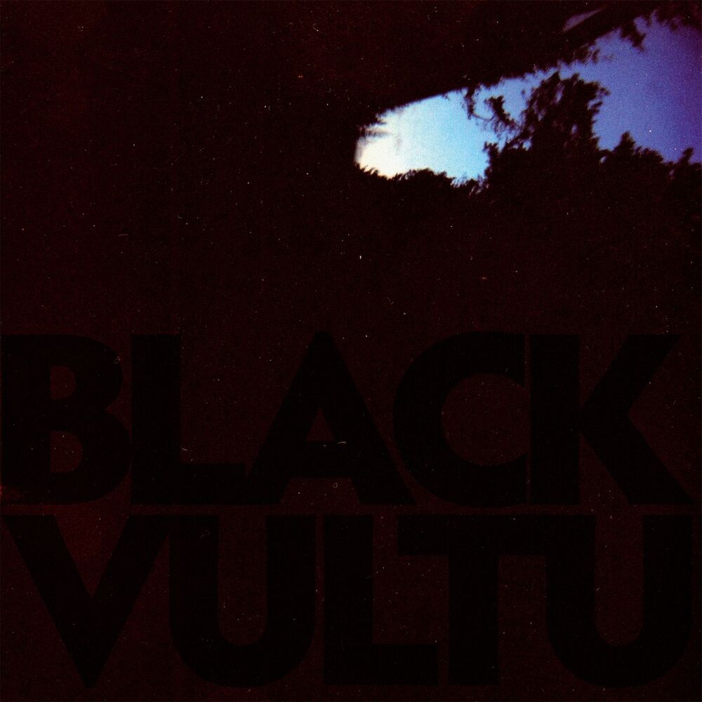 Picture of Black Vultures