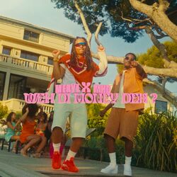 Cover of WDMD