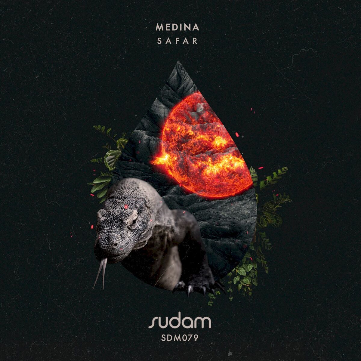 Album cover of Medina