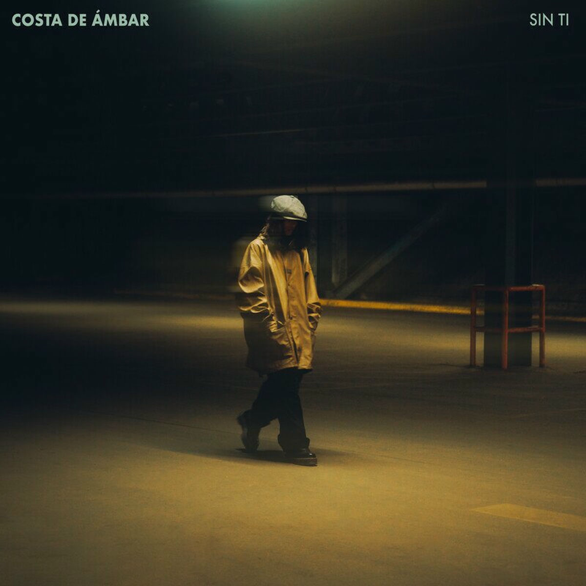 Album cover of SIN TI