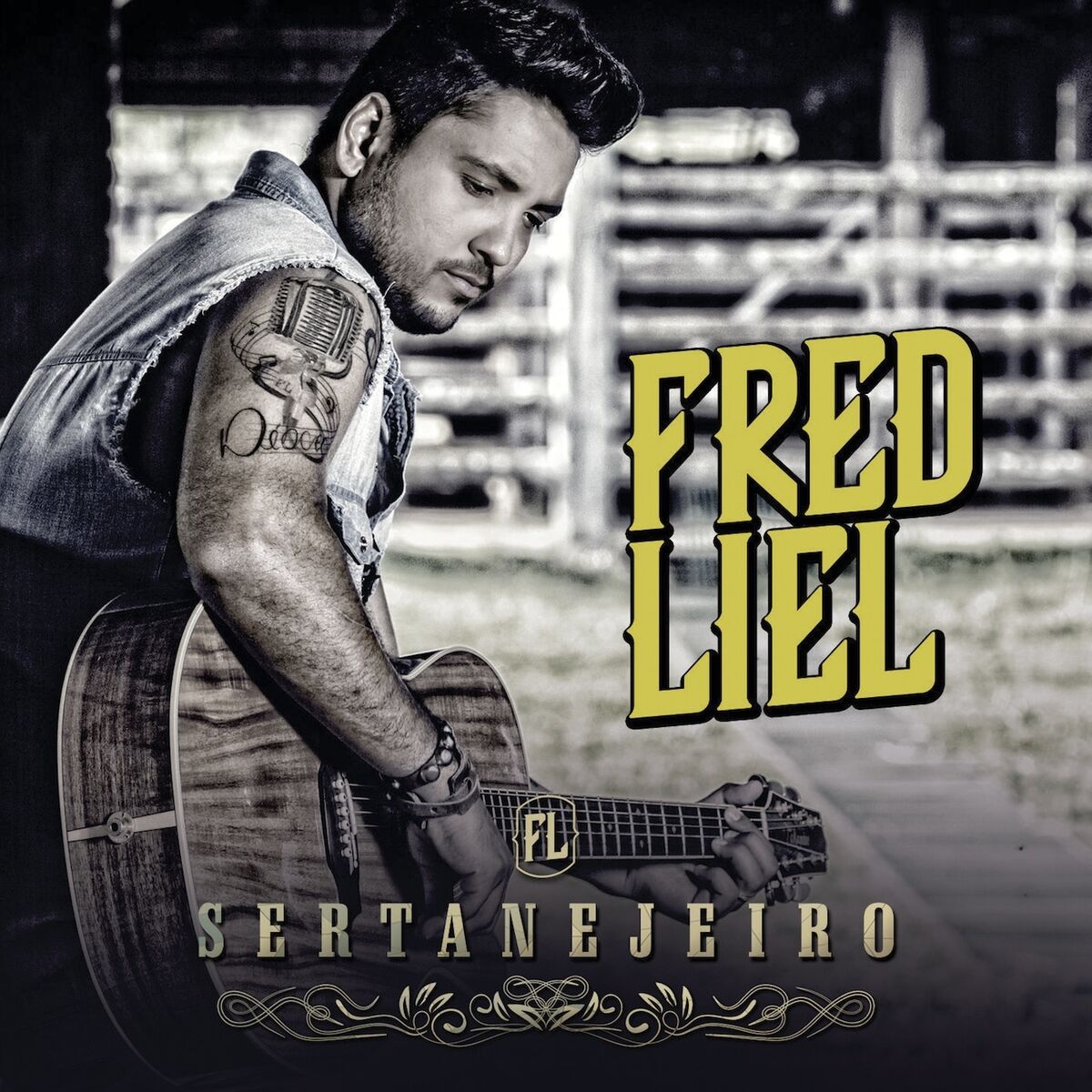 Album cover of Sertanejeiro