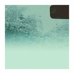 Cover of Driving in Circles