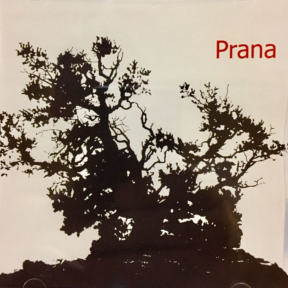 Picture of Prana
