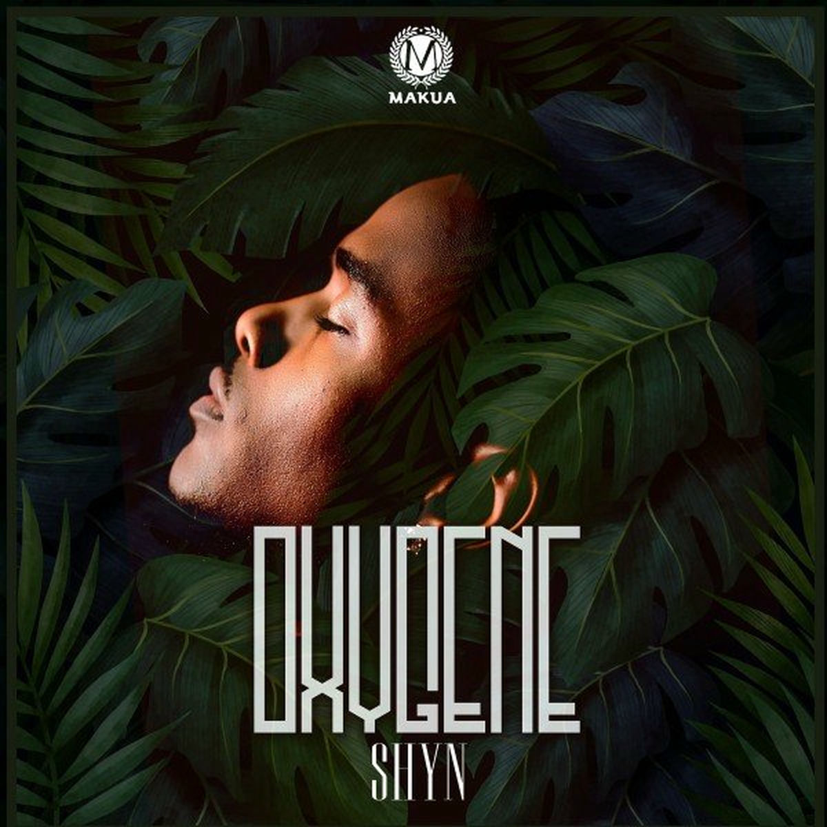 Album cover of Oxygene