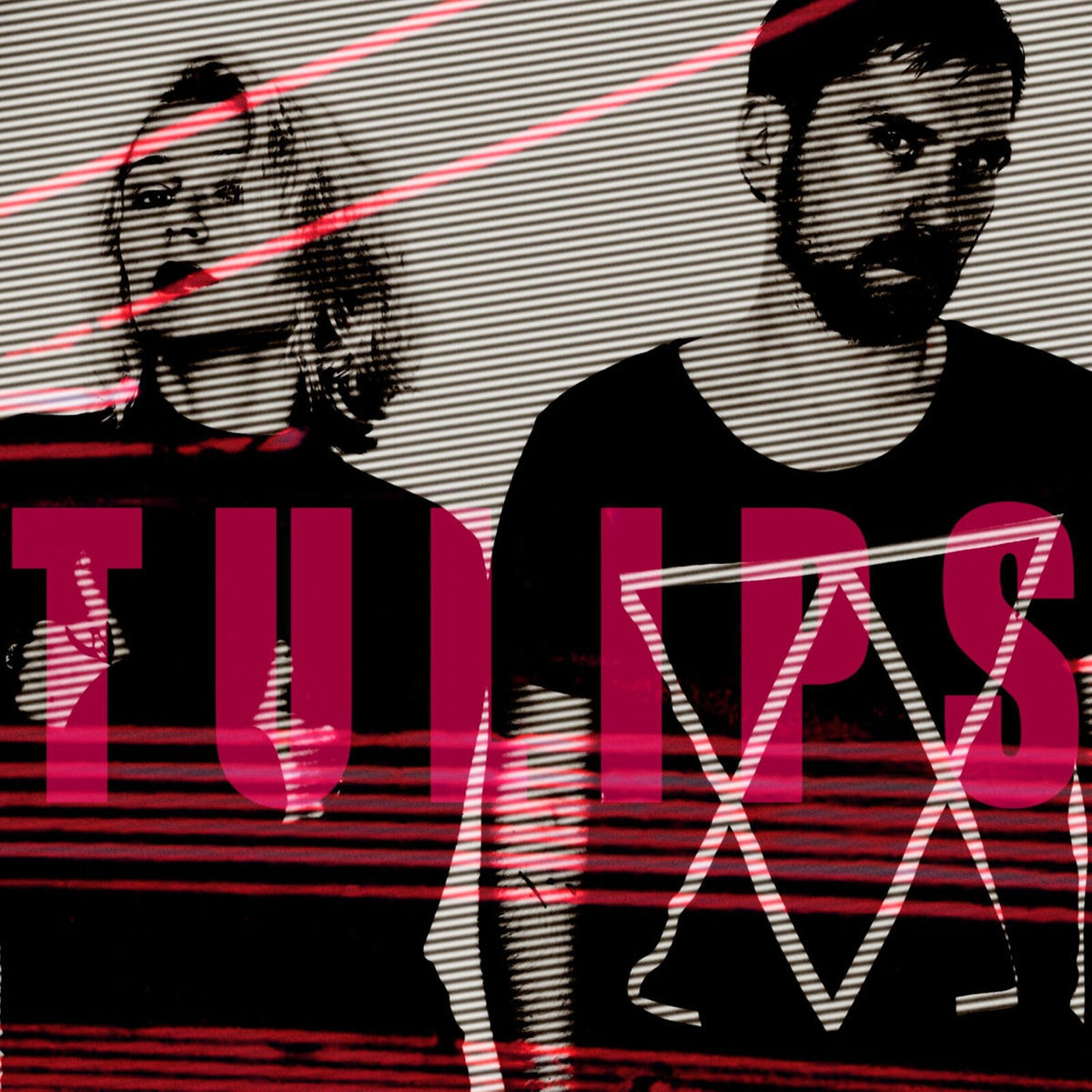 Album cover of Tulips
