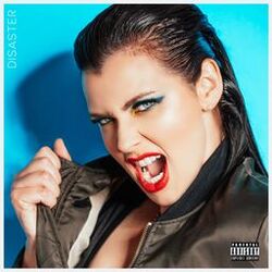 Cover of Disaster