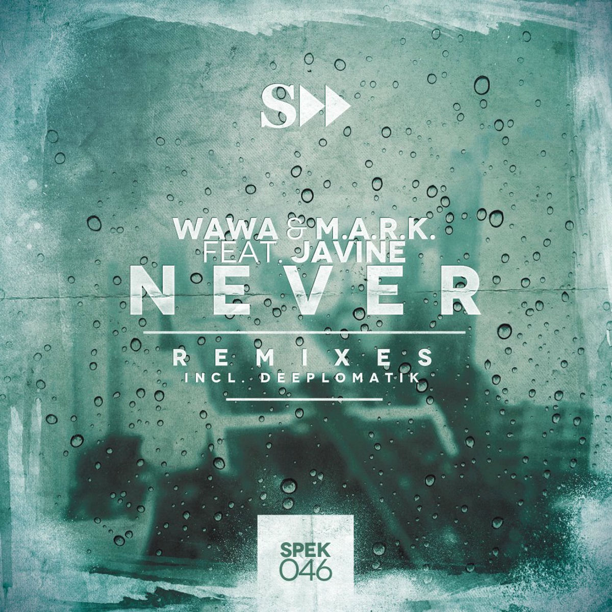 Album cover of Never