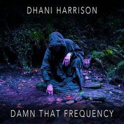 Cover of Damn That Frequency
