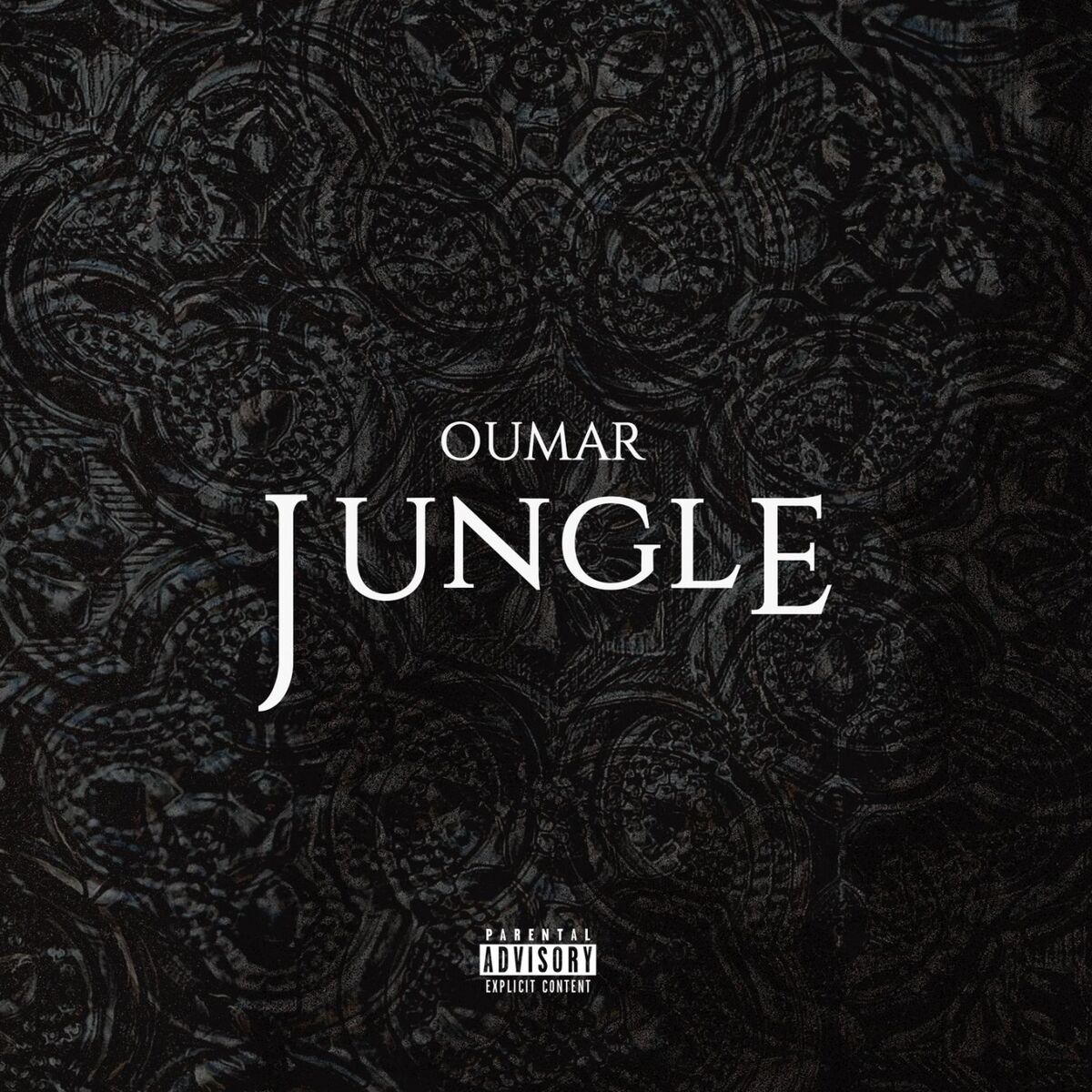 Album cover of Jungle