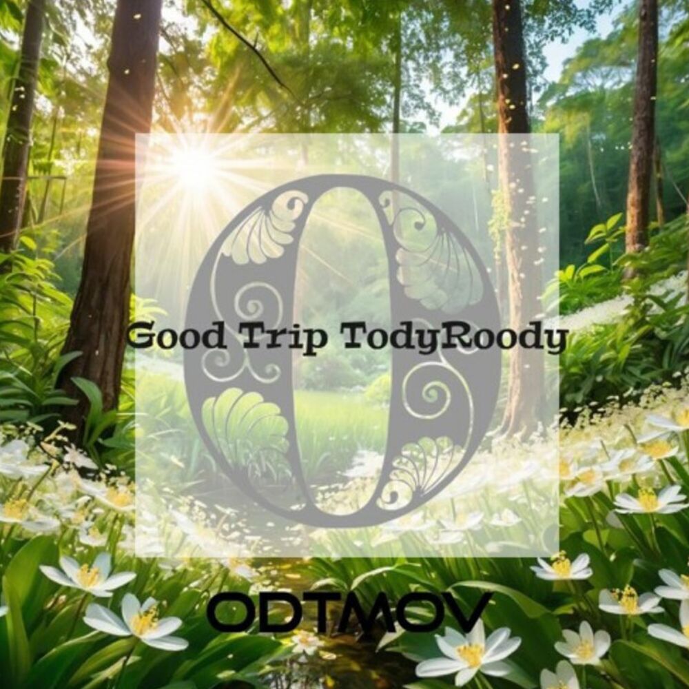 Picture of GOOD TRIP TODYROODY Instrumental