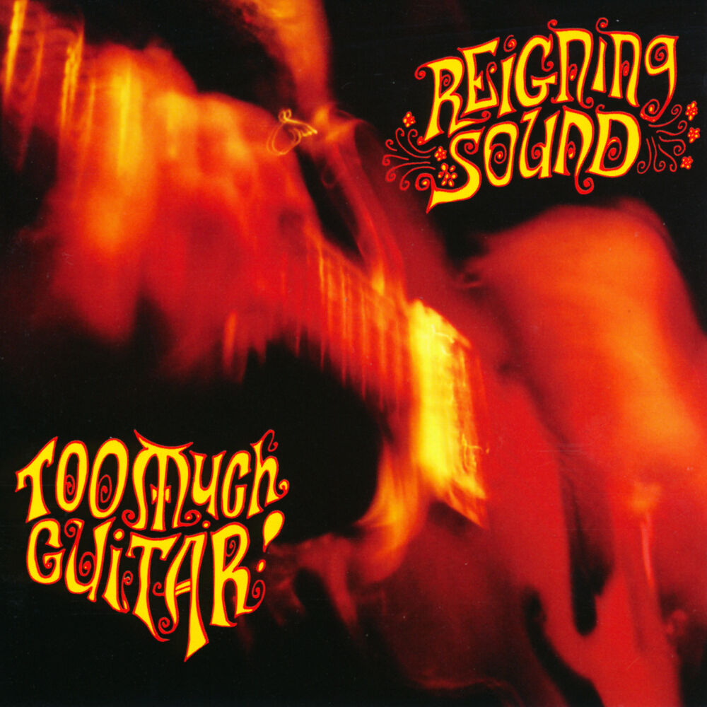 Picture of Too Much Guitar