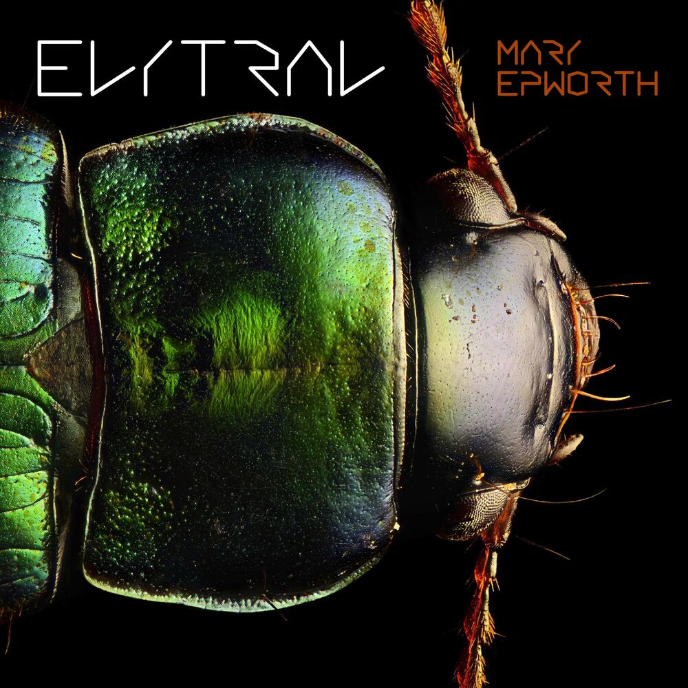 Picture of Elytral