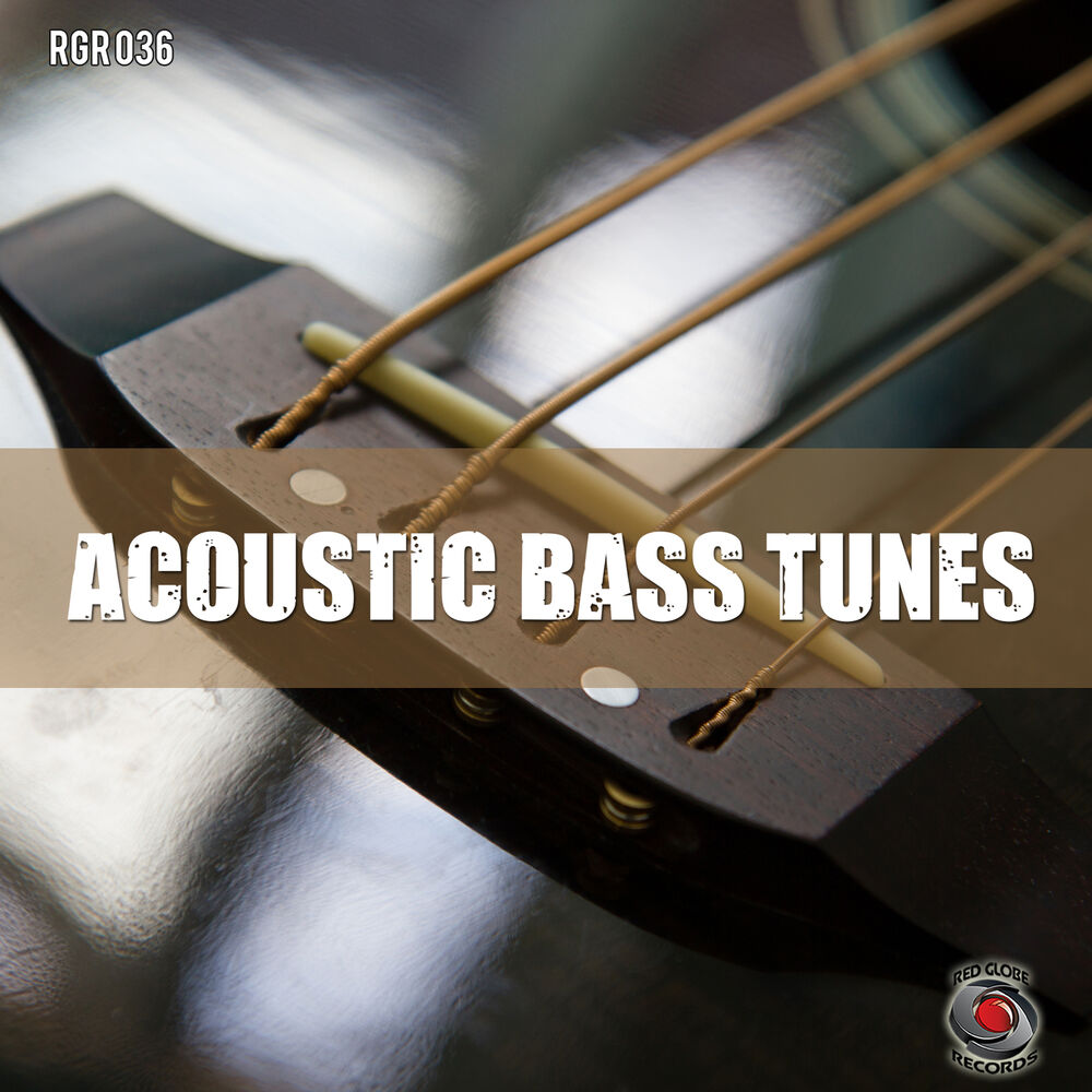Picture of Acoustic bass tunes