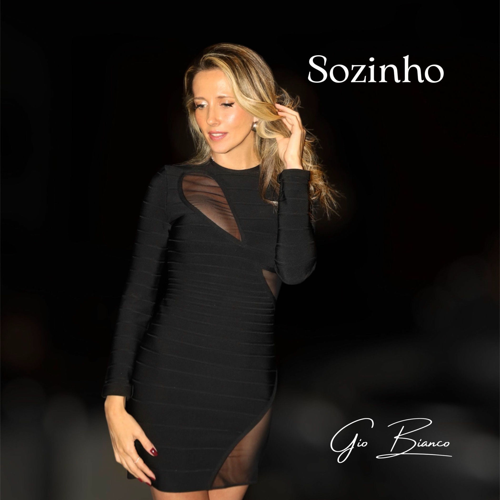 Album cover of Sozinho