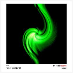 Cover of What You Say