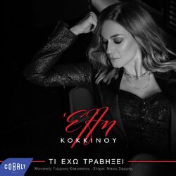 Cover of Ti Eho Travixei