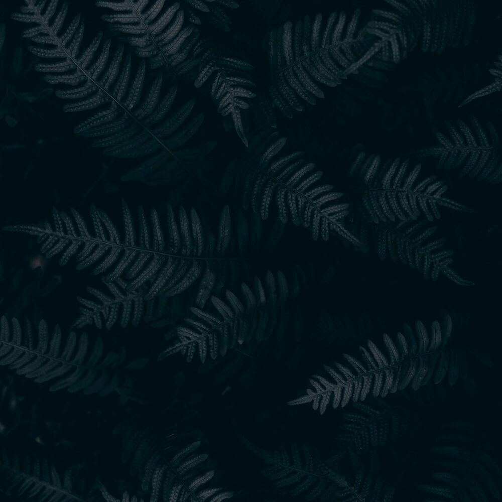 Picture of 50 Meditation Sounds for Yoga, Zen and Spa