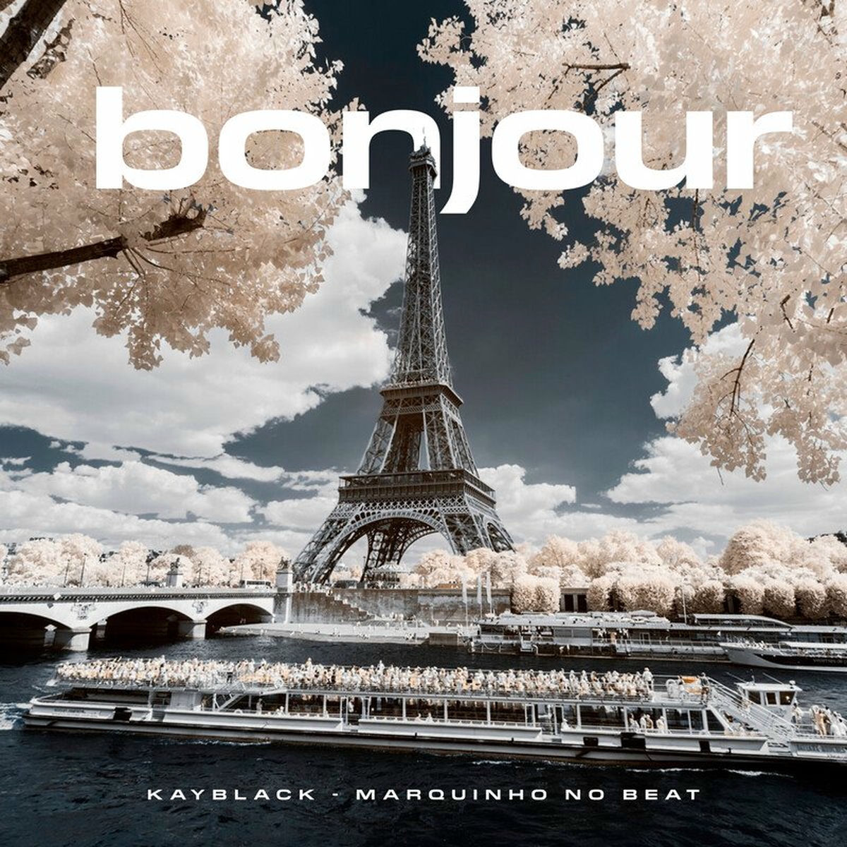 Album cover of Bonjour