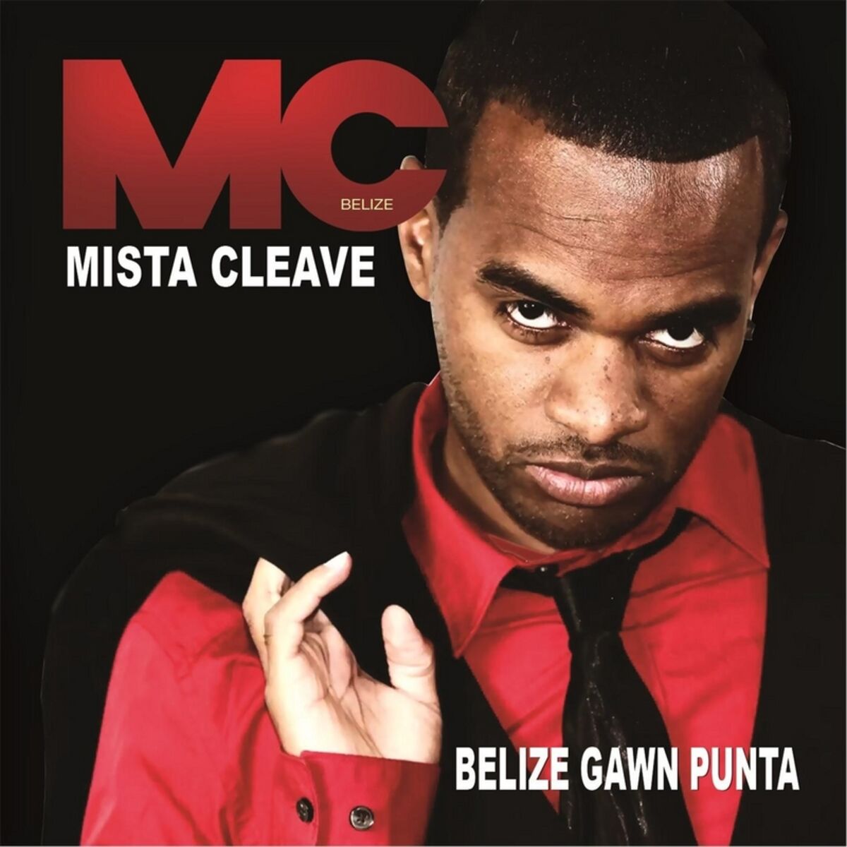Album cover of Belize Gawn Punta