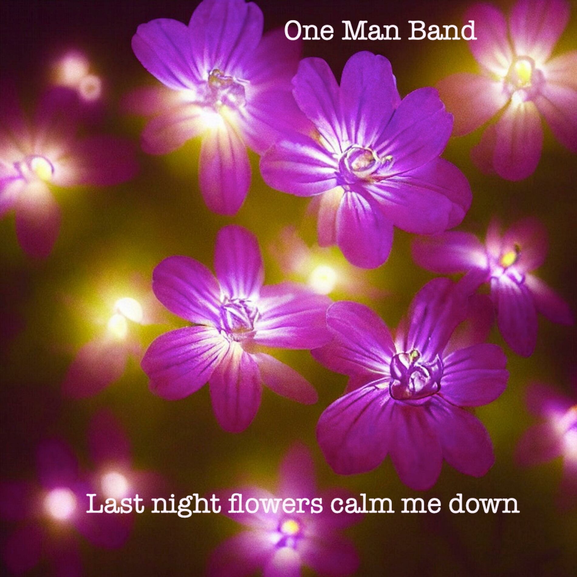 Album cover of Last Night Flowers Calm Me Down
