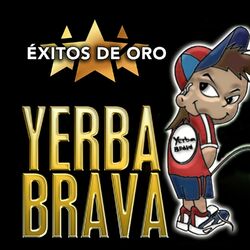 Cover of Éxitos de Oro