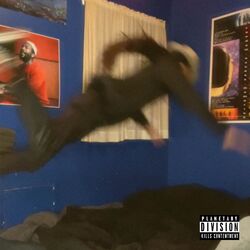 Cover of Never Coming Down