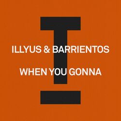 Cover of When You Gonna