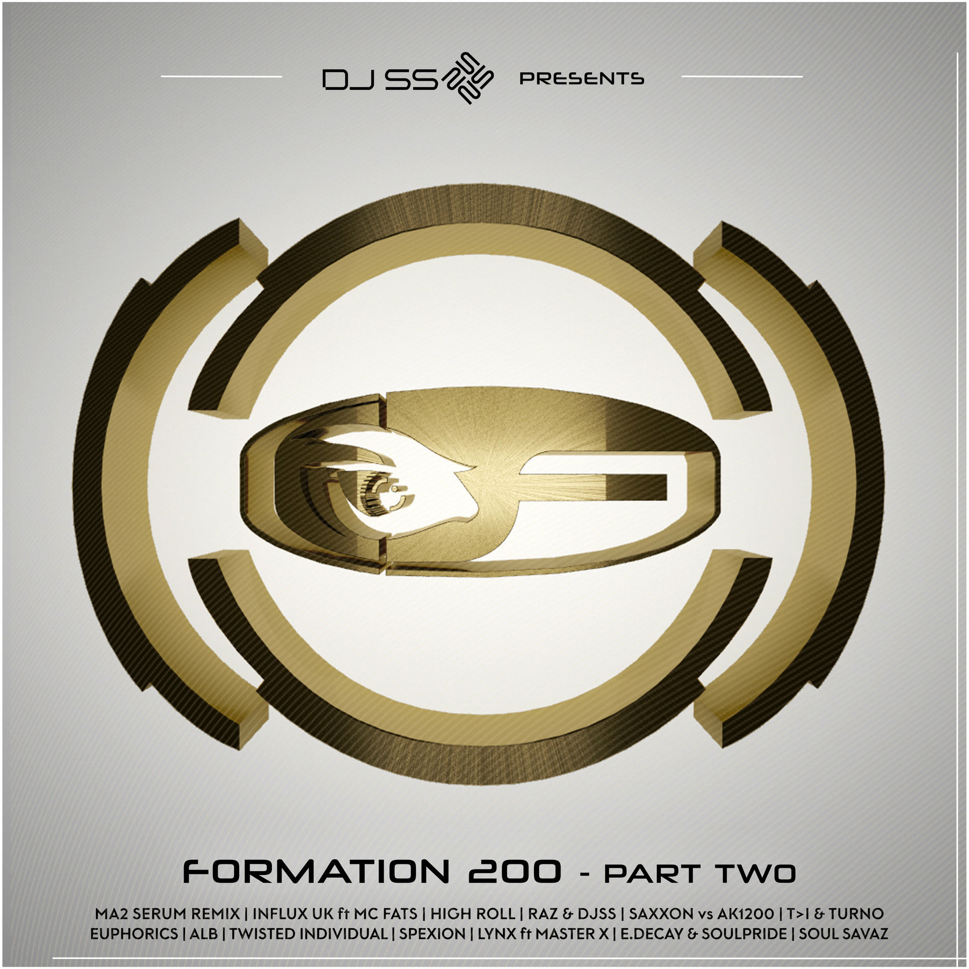 Album cover of DJ SS Presents: Formation 200, Pt. 2