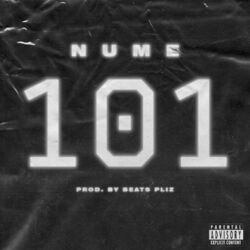 Cover of 101