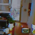 Tinytokyo