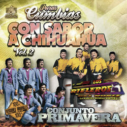 Cover of Puras Cumbias Con Sabor a Chihuahua, Vol. 2