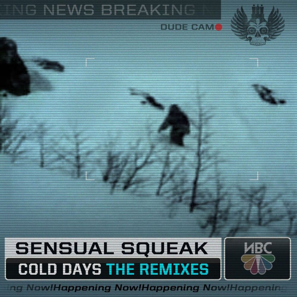 Picture of The Cold Days (The Remixes)