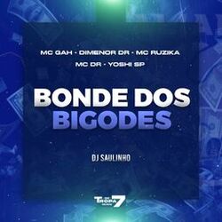 Cover of Bonde dos bigode
