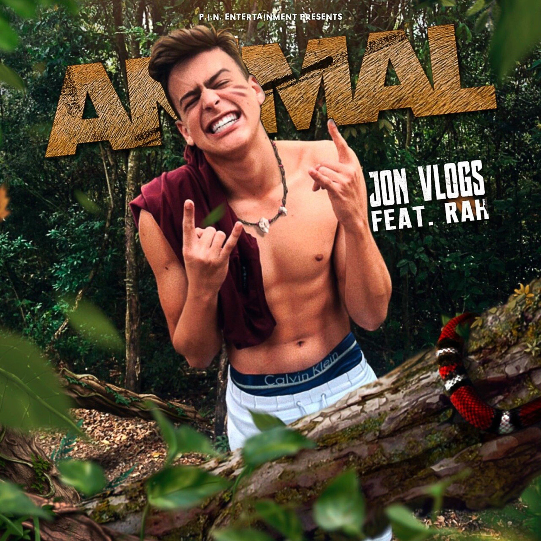 Album cover of Animal (feat. Rah)