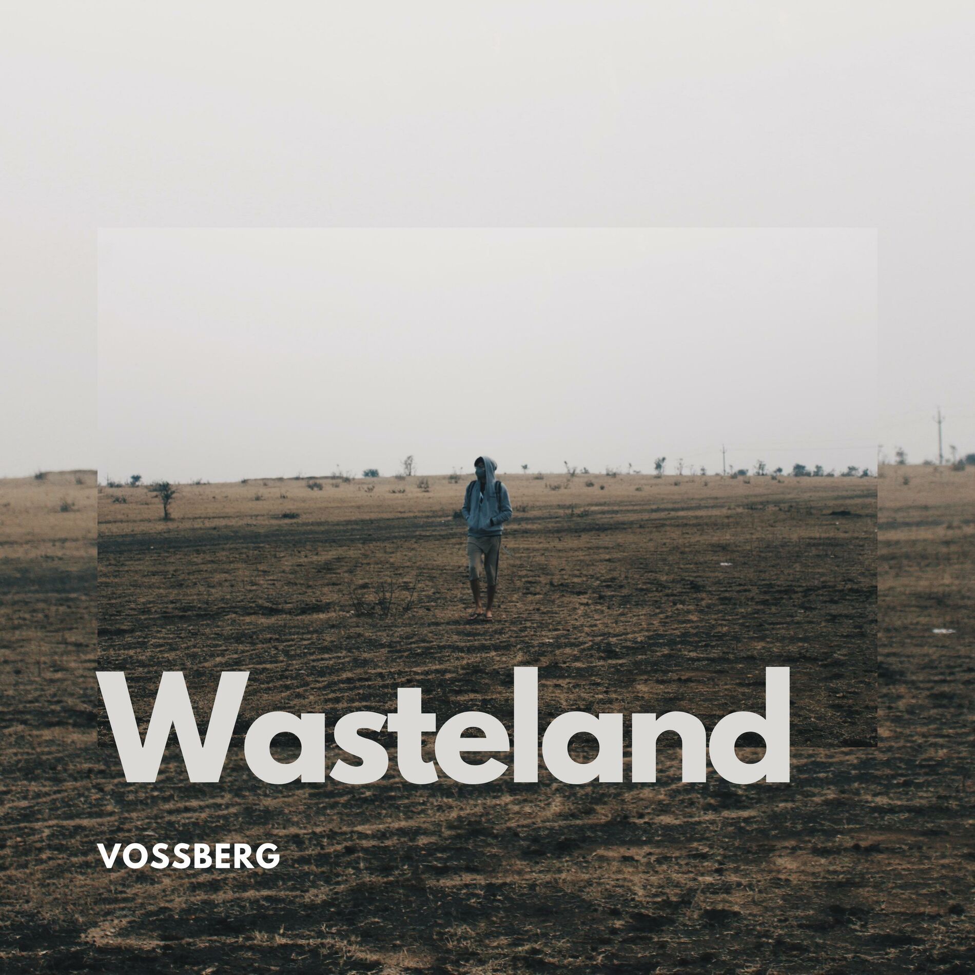Album cover of Wasteland