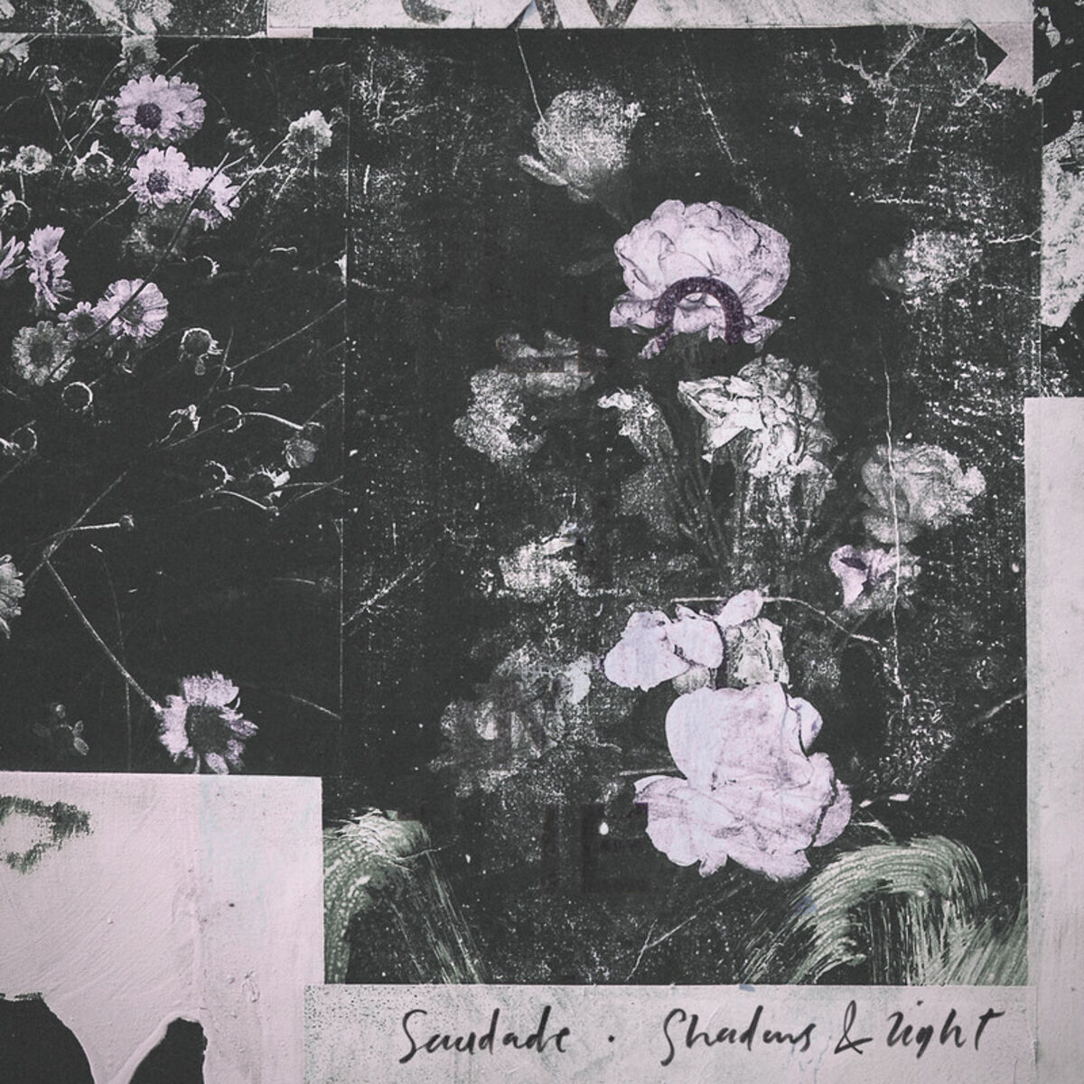 Album cover of Shadows & Light