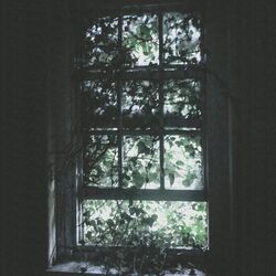Cover of Yak